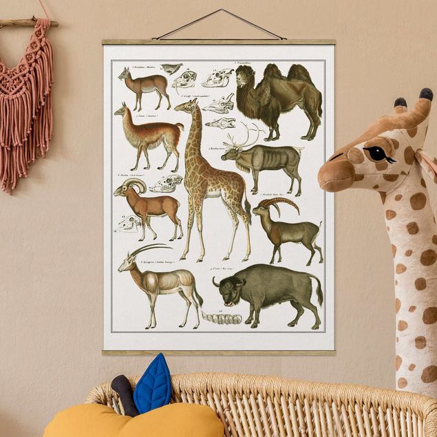 køkken dekorationer Vintage Board Giraffe, Camel And IIama