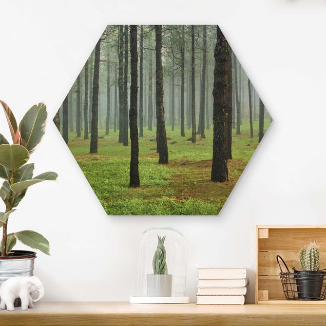 Prints på træ landskaber Deep Forest With Pine Trees On La Palma