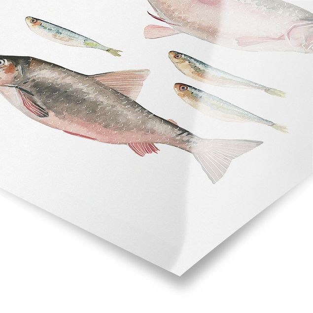 Billeder Seven Fish In Watercolour I
