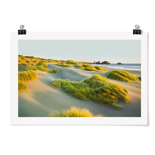 Billeder strande Dunes And Grasses At The Sea