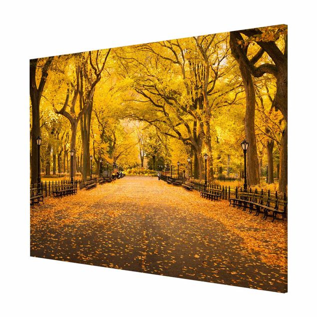 Billeder arkitektur og skyline Autumn In Central Park