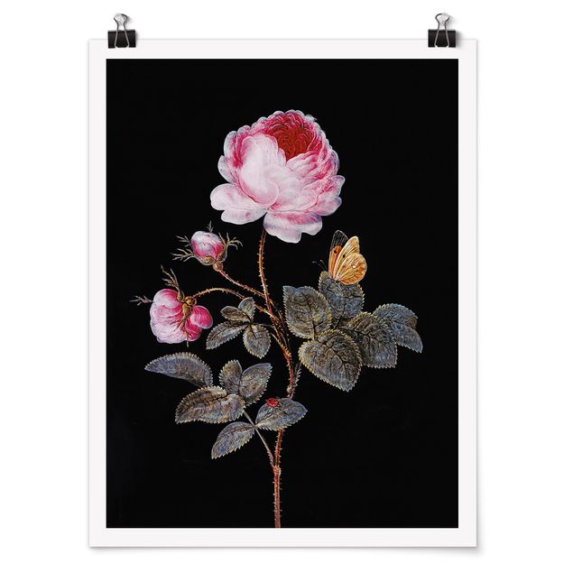 Billeder barok Barbara Regina Dietzsch - The Hundred-Petalled Rose