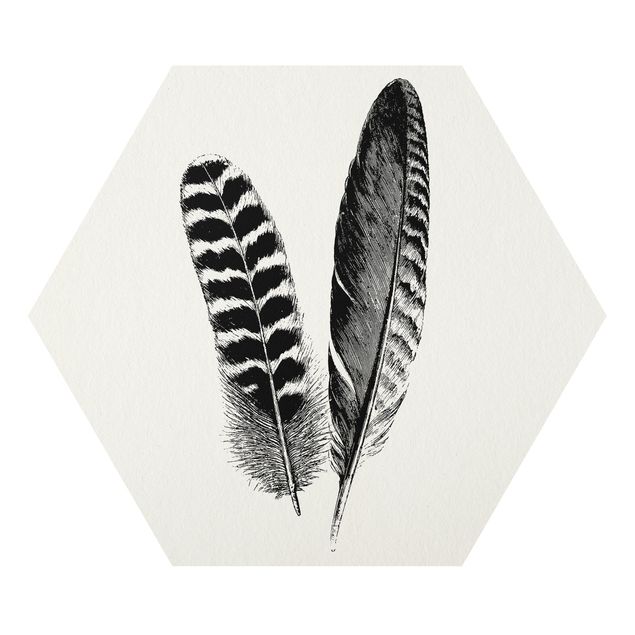 Billeder Two Feathers - Drawing