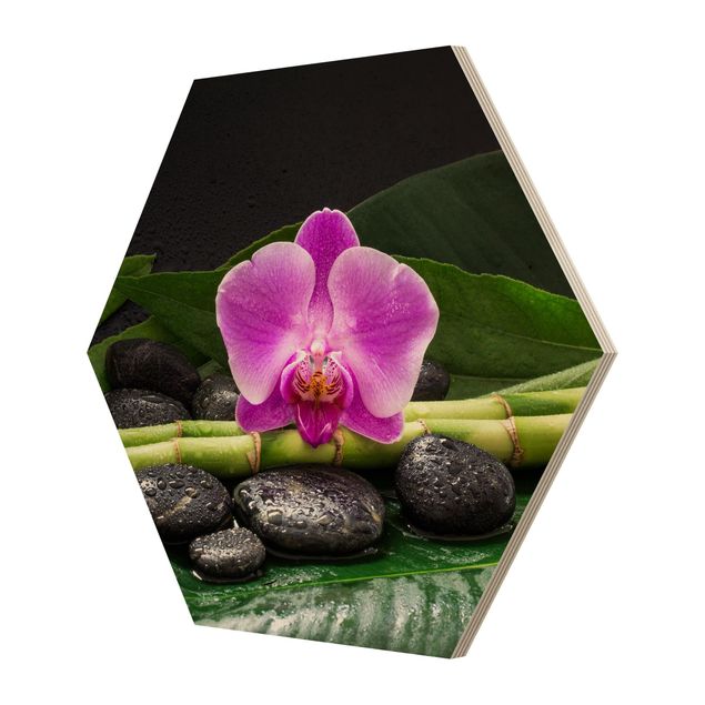 Billeder blomster Green Bamboo With Orchid Blossom