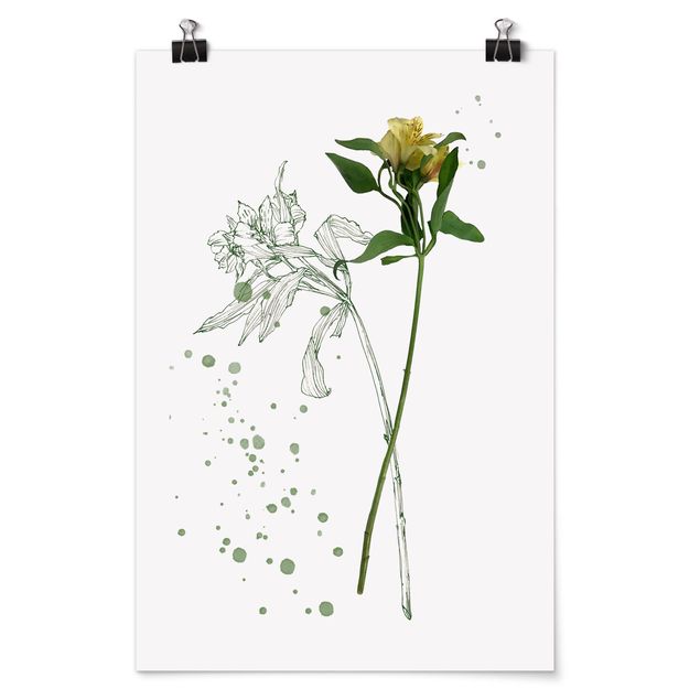 Billeder blomster Botanical Watercolour - Lily
