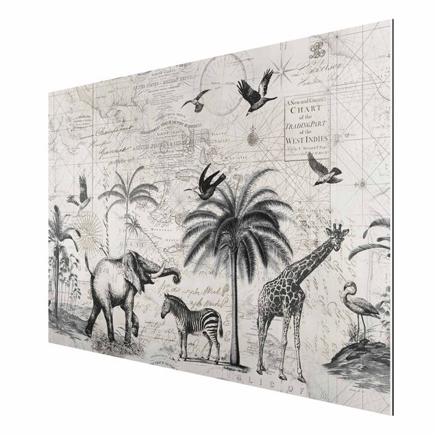 Billeder giraffer Vintage Collage - Exotic Map