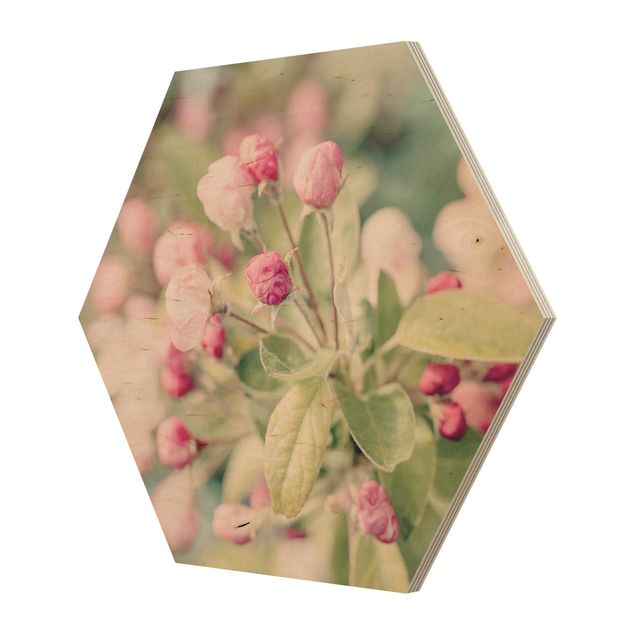 Billeder Andrea Haase Apple Blossom Pink Bokeh