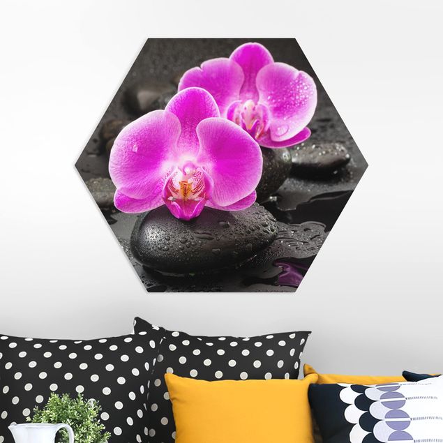 Billeder orkideer Pink Orchid Flowers On Stones With Drops