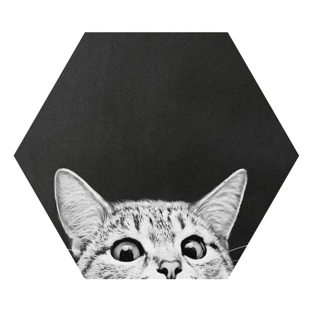 Billeder moderne Illustration Cat Black And White Drawing