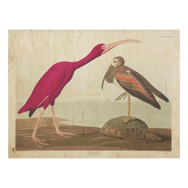 Prints på træ landskaber Vintage Board Red Ibis