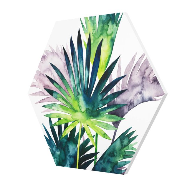 Billeder grøn Exotic Foliage - Fan Palm