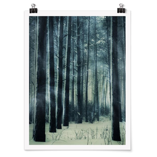 Billeder 3D Mystical Winter Forest