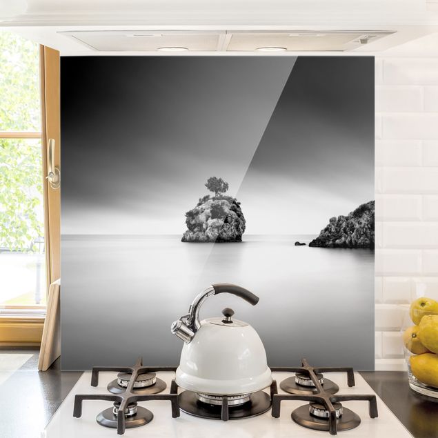 køkken dekorationer Rocky Island In The Sea Black And White