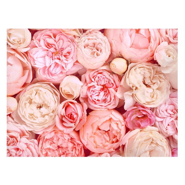 Magnettavler blomster Roses Rosé Coral Shabby