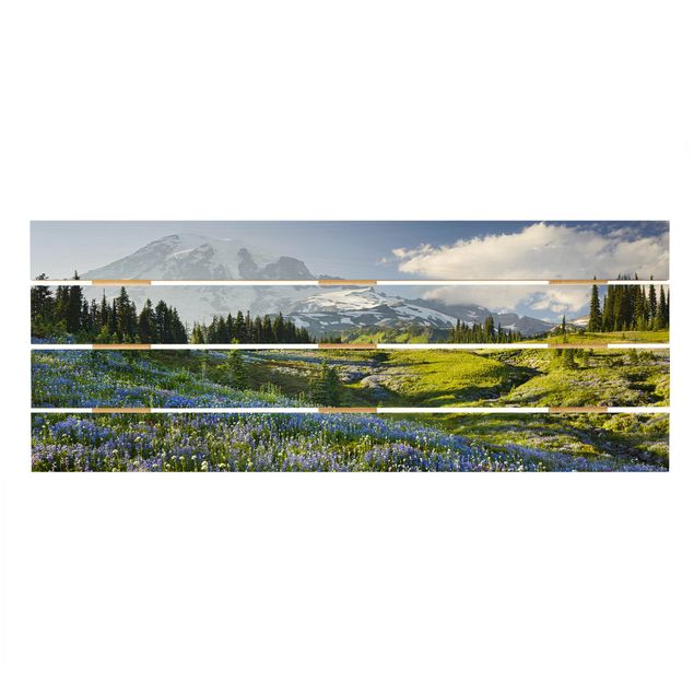 Billeder Rainer Mirau Mountain Meadow With Blue Flowers in Front of Mt. Rainier