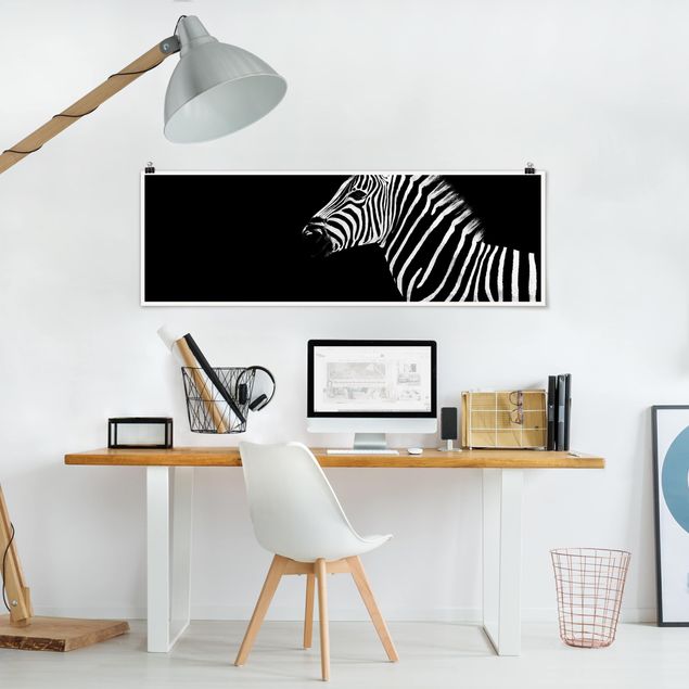 Plakater sort og hvid Zebra Safari Art