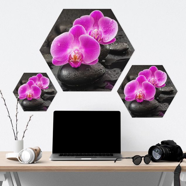 Sekskantede billeder Pink Orchid Flowers On Stones With Drops