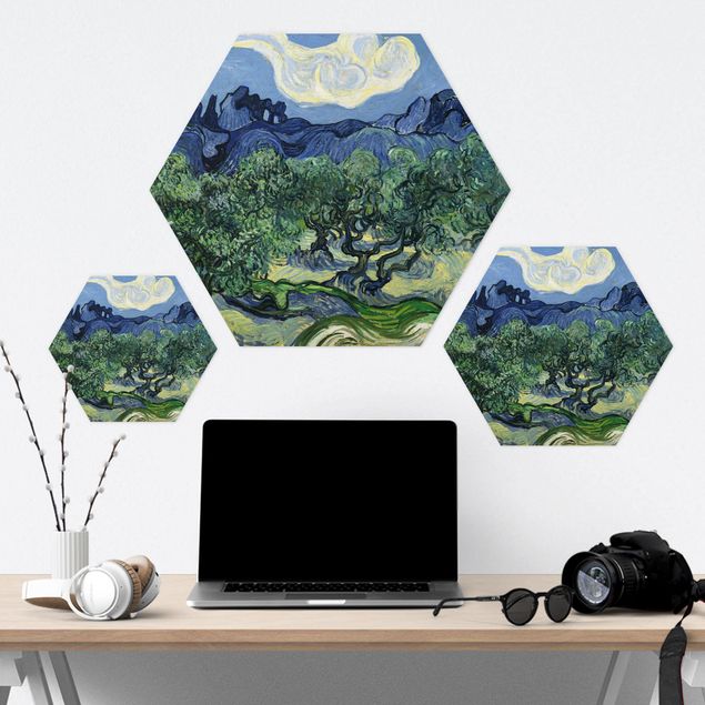 Billeder natur Vincent Van Gogh - Olive Trees