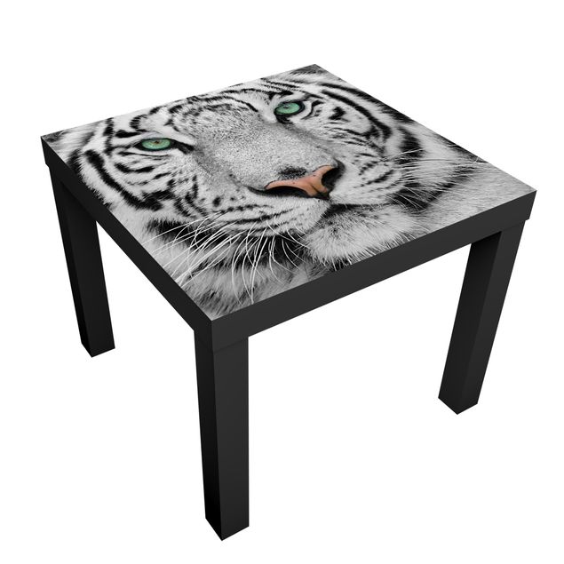 Møbelfolier White Tiger