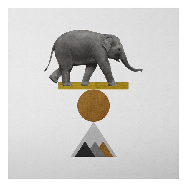 Billeder elefanter Art Of Balance Elephant