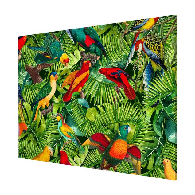 Magnettavler blomster Colourful Collage - Parrots In The Jungle