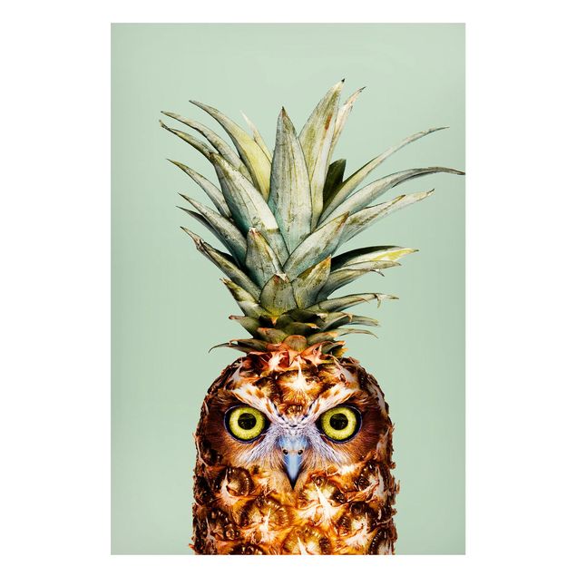 køkken dekorationer Pineapple With Owl