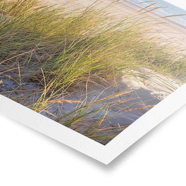 Plakater kunsttryk Beach Dune At The Sea