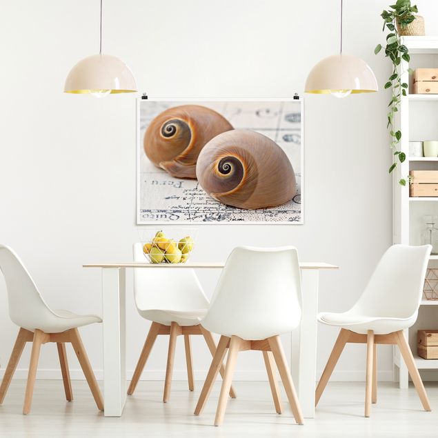 Plakater kunsttryk Shell Duo
