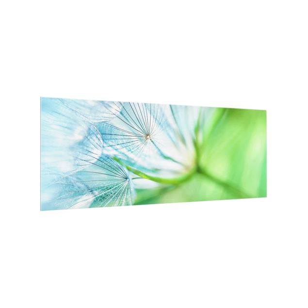 Stænkplader glas Abstract dandelion