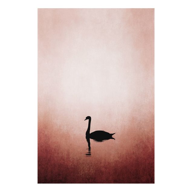 Billeder landskaber Swan In Sunset