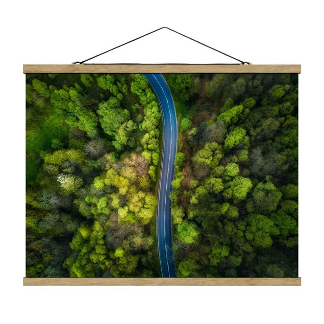 Billeder natur Aerial View - Asphalt Road In The Forest