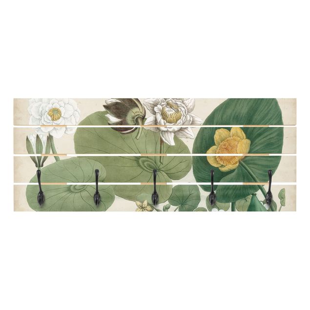 Knagerækker grøn Vintage Board White Water-Lily