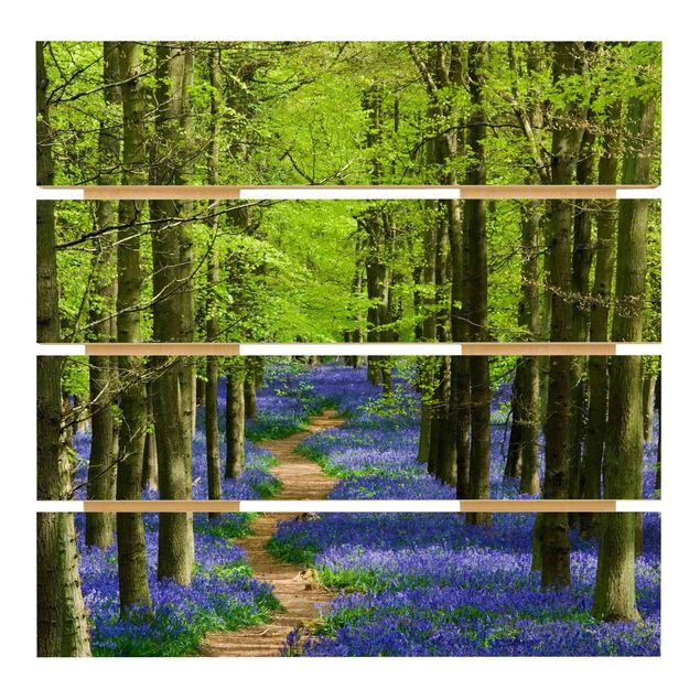 Prints på træ Trail in Hertfordshire