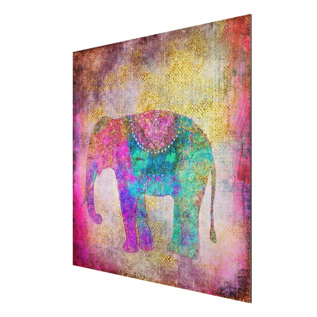 Billeder kunsttryk Colourful Collage - Indian Elephant