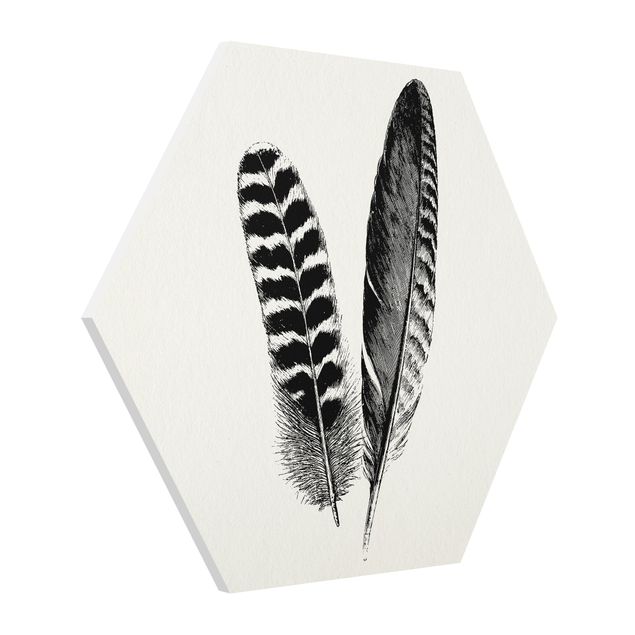 Forex Two Feathers - Drawing