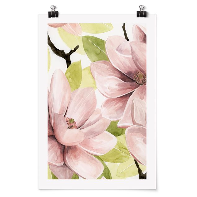 Billeder blomster Magnolia Blushing II