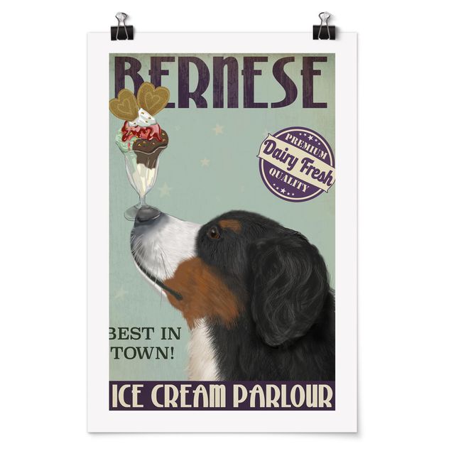 Plakater dyr Bernese Mountain Dog With Ice