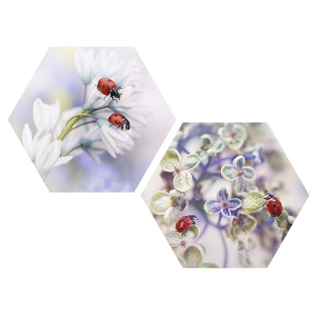 Billeder moderne Ladybug On Flowers