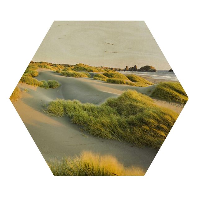 Billeder Rainer Mirau Dunes And Grasses At The Sea