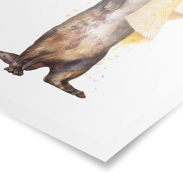 Billeder brun Illustration Otter With Towel Painting White
