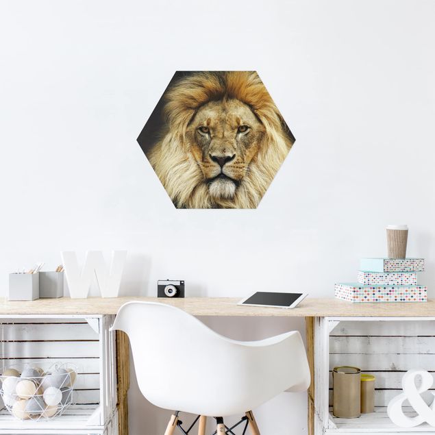 Billeder moderne Wisdom Of Lion