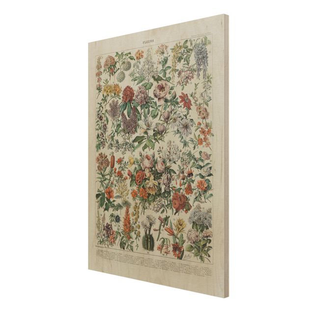 Prints på træ vintage Vintage Board Flowers II