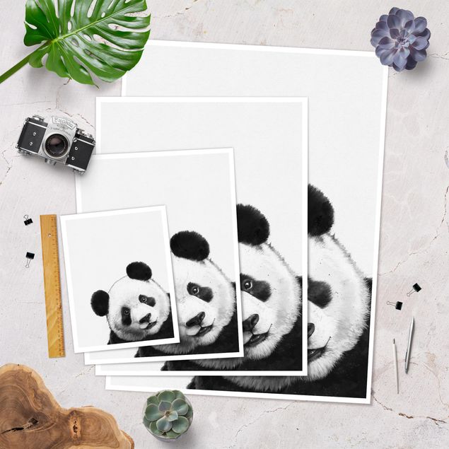 Billeder Laura Graves Art Illustration Panda Black And White Drawing