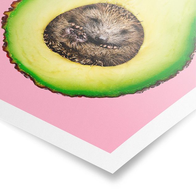 Billeder lyserød Avocado With Hedgehog