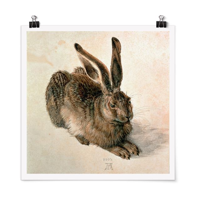 Plakater kunsttryk Albrecht Dürer - Young Hare