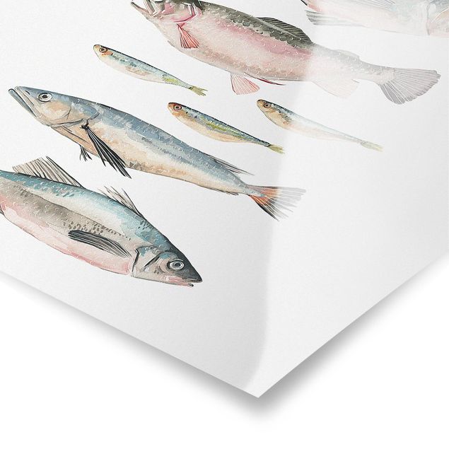 Billeder ordsprog Seven Fish In Watercolour II
