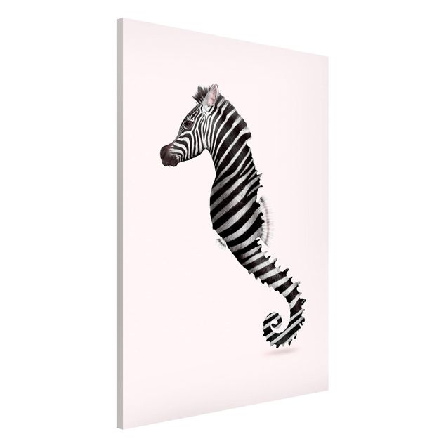 Billeder fisk Seahorse With Zebra Stripes