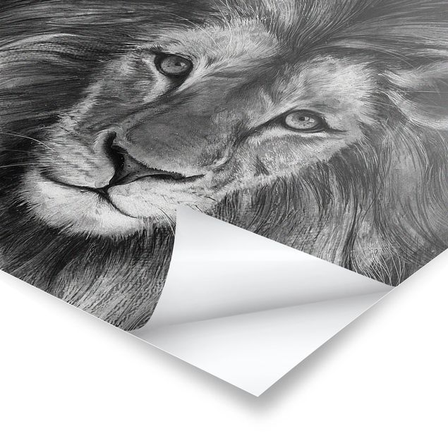 Billeder Laura Graves Art Illustration Lion Monochrome Painting