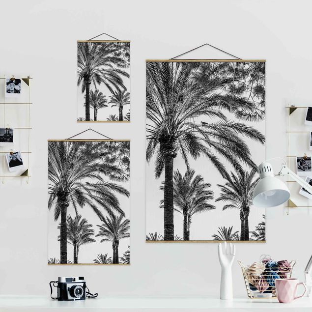 Billeder sort og hvid Palm Trees At Sunset Black And White