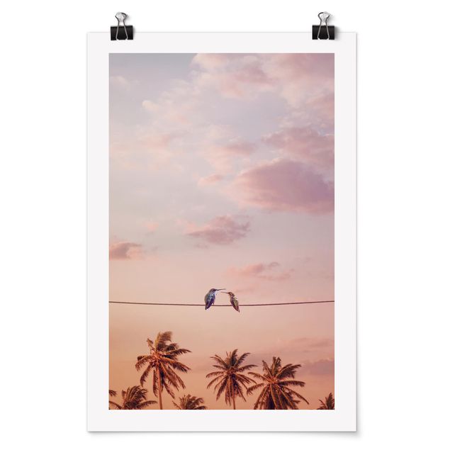 Plakater landskaber Sunset With Hummingbird
